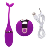 Panties Wireless Remote Control Vibrator Vibrating Eggs Wearable Vagina Balls Vibrator Clitoris Massager Adult Sex toy for Women