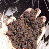 pupuk kompos kambing + sekam