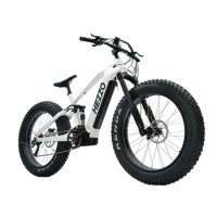 Eu Warehouse 26 Inch 48v Fat Tire Bikes Adults Carbon Fiber E Bicycle Tyre Mountain Bike 1000w E Bicycle