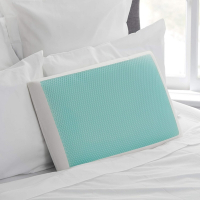 Sealy Essentials 記憶泡棉凝膠冷卻枕頭標準