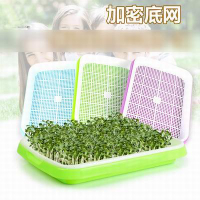 【多功能芽菜盤-33.7*24.5*4.2cm-3套/組】紙上種菜芽苗菜小麥草豆芽種植盤非再生料-5101030