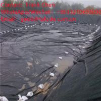 Aquaculture Pond Liners 500 Micron Black HDPE Geomembrane Shrimp Fish Pond Liner