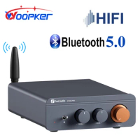Wookper BT20A Pro TPA3255 Mini Hi-Fi Power Amplifier Bluetooth 5.0 Max Power 600W Home Audio Stereo 2-channel Class D amplifier