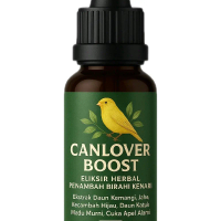 Canlover Boost Penambah Birahi Kenari Efektif Membuat Telur Fertil Dengan Ekstrak Daun Kemangi Jehe 