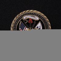 美國挑戰幣紀念章創意裝飾鏤空硬幣金屬軍事獎牌烤漆工藝品收藏