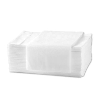 【小米】空氣淨化器靜電過濾棉10入(30*70cm)