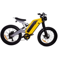 New motorcycle for adults Exclusive Design Dual Batteries Fat Tire Electric Bike 48V 1000W Electric Mountain Ebike