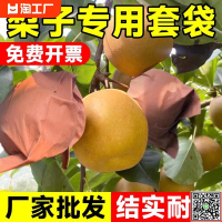 梨子套袋專用袋水果果樹防蟲黃金梨晚秋黃梨袋果袋秋月梨果樹紙袋-UM.有米家居