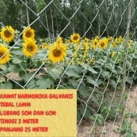 Kawat Pagar Harmonika Galvanis Tebal Kawat 1,6MM Lubang 5CM & 6CM (2 X 25METER ) PER-ROLL