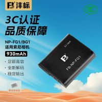 灃標NP-BG1/FG1相機電池適用索尼HX5C H7 HX7 WX1 T100 H90 HX30 HX5C HX9 W100 W220 sony電池充電器套裝