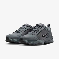 Sepatu Training AIR MONARCH IV 415445-020 42