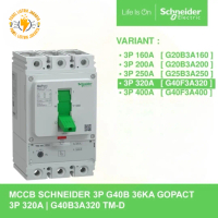 MCCB SCHNEIDER GOPACT 3PHASE 36KA 320A ADJUSTABLE