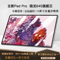小米米家官方正品16G+512G安卓平板ipad平板電腦學習機繪畫股票-樂購