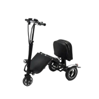 Handicapped Mobility 3 Wheel Electric Motorcycle City Electric Scooter Lightweight Folding Scooter
