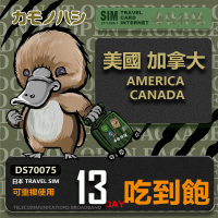 【鴨嘴獸 旅遊網卡】Travel Sim 美國 加拿大 13日 吃到飽上網卡 旅遊卡(美國 加拿大 上網卡)
