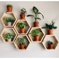 Rak Dinding Hexagonal Diameter 22 Harga 1 Buah Cm Kayu Jati Belanda Hiasan Dinding  Pajangan Gantung