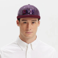 【LEVIS 官方旗艦】Skateboarding™滑板系列 男女同款 LOGO布章 滑板帽 人氣新品 D7961-0000