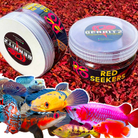 Maggot Red Seekers Premium by Berritz pakan ikan channa maru,auranti,stewarti,andrao,pulcra dll