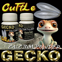 GECKO CUTTLE KALSIUM ALAMI BUBUK TULANG SOTONG OBAT MENINGKATKAN METABOLISME TOKEK LEOPARD GEKO AFT