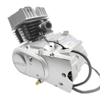 OEM Motorcycle Four-speed Two-stroke AX100 Motorcycle Engine, Lifan Motorcycle AX100 Engine Assembly