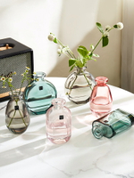 輕奢風玻璃花瓶創意客廳辦公室桌面插花水養現代簡約餐桌花器