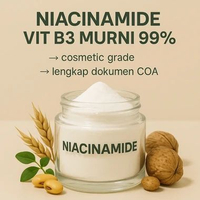Vitamin B3 / Niacinamide 50 gram