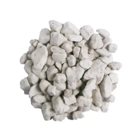 【蔬菜之家】火山石白色蘭石 2公升分裝包-大粒8~12mm(透氣石 鋪面石 通氣保水)
