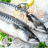 【一手鮮貨】無鹽整尾挪威鯖魚(2尾組/單尾600g~550g/鯖魚)