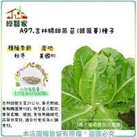 【綠藝家】A97.吉林脆甜萵苣(綠蘿蔓)種子1.7克(約1500顆)