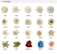 Lovel sola紙花香氛擴香花朵-多款