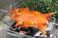【海鮮肉舖】 脆皮烤乳豬 6~7斤 乳豬 豬肉  台灣豬 烤肉必備