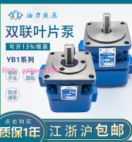 YBD葉片泵YB1-2.5/4/6/10/12/16/20/25/32/40/50/63/80雙聯葉片泵