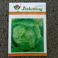 Benih atau biji SELADA CROP LETTUCE isi 2 gram 0I