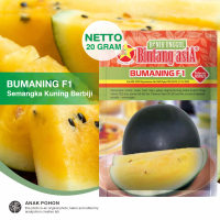 (1 PACK) Benih Semangka BUMANING F1 Semangka Kuning Bulat Berbiji F1
