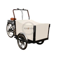 2022 Customized Electric Tricycle Mobile 3 Wheel Passenger Adult Children Carry Tricycle Cargo Bike Bicycles custom