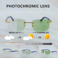 Color Change Photochromic Lenses Two Colors Lenses 4 Season Glasses Interchangble Brand Designer Carter y2k Stylish Sunglasses