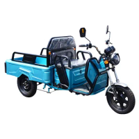 Best Cargo E Trike 60V 800W Heavy Duty 3 Wheel Electric Trike 12" Fat Tire Adult Electric Delivery Tricycles For Cargo
