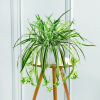 仿真綠植盆栽綠蘿吊蘭塑料植物盆景假花客廳掛壁擺放裝飾擺件花藝