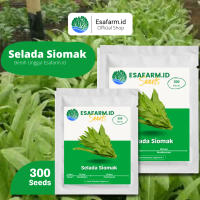 Benih Fumak F1 Selada Wangi Siomak 300 Biji Adaptif Dataran Rendah Bibit Unggul Garansi Tumbuh