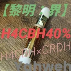 H4CBH-1 【業界最安値】 imgrc0111988038.jpg