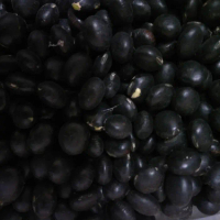 kacang kedelai hitam 500g by DZ