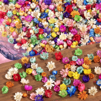 300 PCS Small Dried Flowers for Crafts -Dried Flowers for Resin Tiny Natural Real Dried Pressed Flow