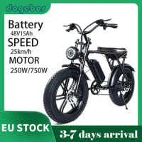 20Inch Dogebos V8 250W 750w electric bicycle fat tire e-bike for adults 48v 25km/h off road city ebike fatbike in EU warehouse