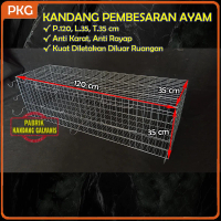 Kandang Pembesaran Anak Ayam Galvanis Uk. 120X35X35 | Kandang Pitikan DOC, Petelur, Bangkok, KUB