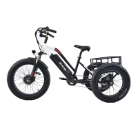 24 Inch Electric Trike Fat Tire 3 Wheel Electric Tricycle Three Wheels Adult Cargo Electric Bike with Basket