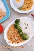 【哈料理】香料雞肉咖哩 250g/包 (1-2人份) Halal 異國料理 冷凍料理包 上班族 配飯