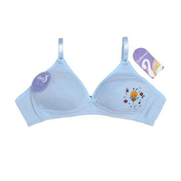 Scelta - Step 3 Bra Remaja Miniset Bh Teenager Scelta Teen Bh Sc Ai 904 Biru 32