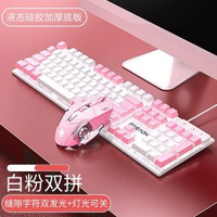 內地直送 - 前行者Z電競有線鍵盤拼色發光機械手感臺式電腦配件