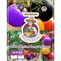 Bibit Premium Tomat Pelangi Bonsai | Benih Tomat Rainbow Bonsai