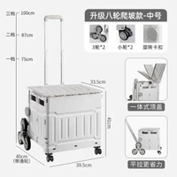 買餸小拉車推車家用手拉迷你行動式購物車露營野營摺疊箱